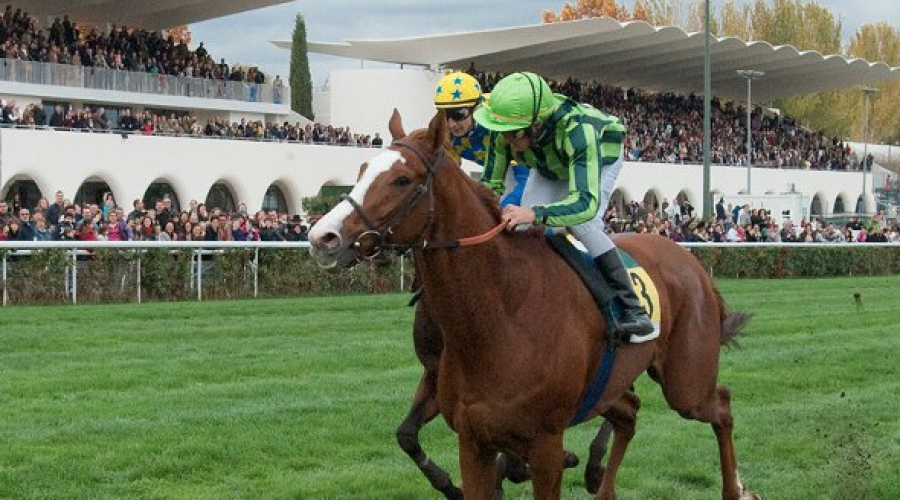 Carreras en el Hipódromo de la Zarzuela: Temporada 2022